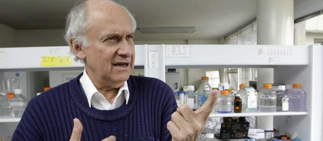 Estudios de malaria se hacen con micos colombianos | El científico colombiano Manuel Elkin Patarroyo, que trabaja en una vacuna sintética contra la malaria, aseguró que el Consejo de Estado retrasó su trabajo por un error. FOTO COLPRENSA