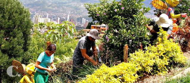 De una trinchera hicieron un Cerro de los Valores | En el Cerro enseñan a cuidar la naturaleza. FOTO DONALDO ZULUAGA