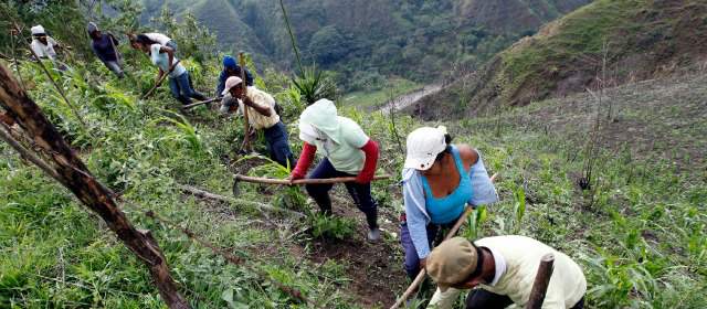 Las cuatro recomendaciones para mejorar la Ley Restitución | La restitución de tierras enfrenta retos como el acompañamiento a los retornos de desplazados y su seguridad. Además se pide mayores restituciones por vía administrativa. FOTO MANUEL SALDARRIAGA