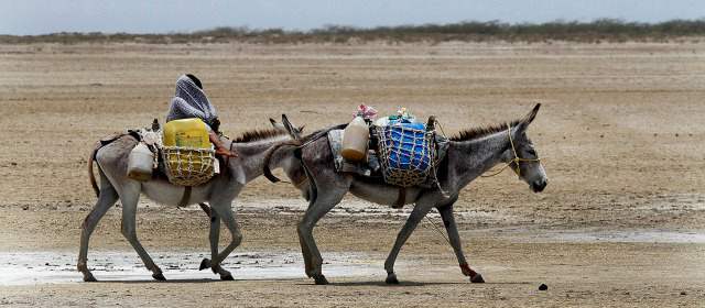 Fenómeno de El Niño tiene más probabilidades |