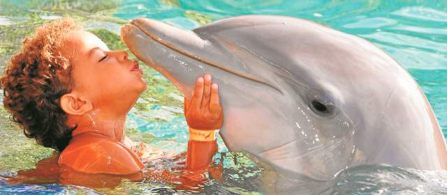 Curazao es un paraíso coloreado de azul | Ahora que se aproximan las vacaciones, una buena opción es Curazao, en el corazón del Caribe. FOTO CORTESÍA DOLPHIN ACADEMY
