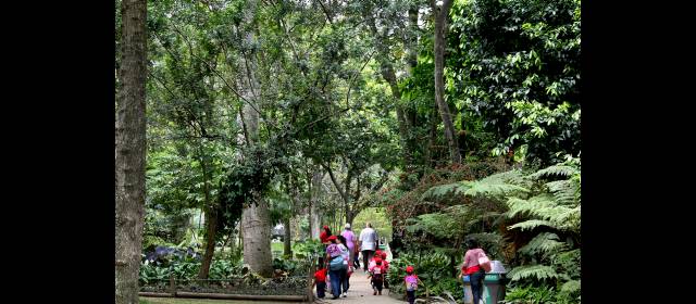 Proyecto Centro de Espectáculos tiene el aval del sector privado | El Jardín Botánico es uno de los ejemplos de Asociaciones Público Privadas que existe en Medellín. FOTO JUAN ANTONIO SÁNCHEZ