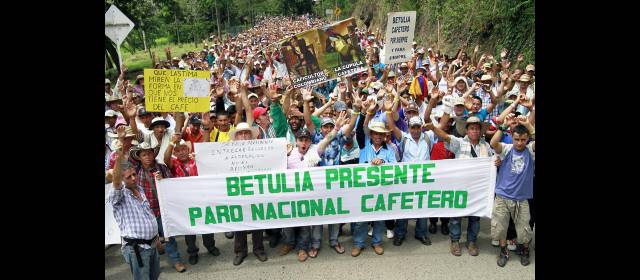 Los cafeteros piden que se aterrice la propuesta de la "constituyente" | Caficultores antioqueños mantienen campamentos en Bolombolo y La Pintada. FOTO REUTERS