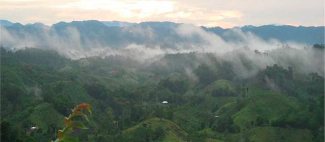 Destinan US$ 1,2 millones para proteger San Lucas | El aprovechamiento sostenible y el trabajo con las comunidades se combinan en el trabajo de promoción y de preservación del bosque en la Reserva Forestal del Río Magdalena. FOTO CORTESÍA