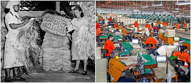 La Compañía de Empaques empezó en 1938 con 60 trabajadores y una producción artesanal de sacos de fique en una pequeña bodega de Medellín. Hoy cuenta con 1.300 empleados y fabrica 54.000 sacos al día. Fotos: Cortesía y Julio César Herrera