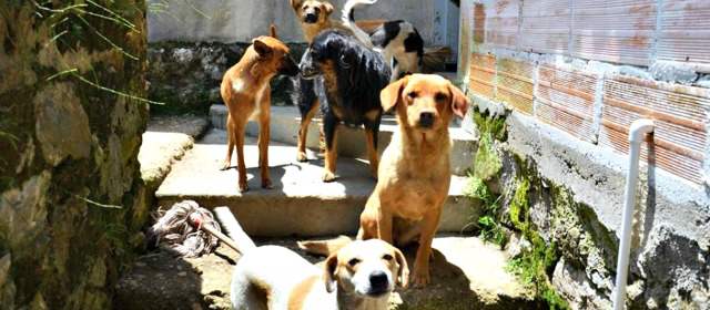 Foto: Alcaldía de Sonsón