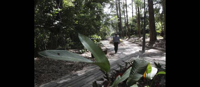 Parque de La Frontera abre hoy | Un sendero peatonal central cruza el parque de occidente a oriente. Son 4 hectáreas. FOTO HERNÁN VANEGAS