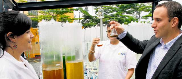 El secreto mejor guardado de Argos | Investigadores de Eafit y Camilo Restrepo, de Argos, evalúan una de las muestras de fotobiorreactores con microalgas. FOTO RÓBINSON SÁENZ