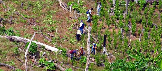 Preocupación por el aumento de la pobreza en Colombia |