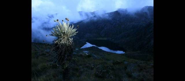 Declaración de Santurbán como parque cierra puerta a la minería | Con la decisión se busca proteger el páramo. FOTO COLPRENSA
