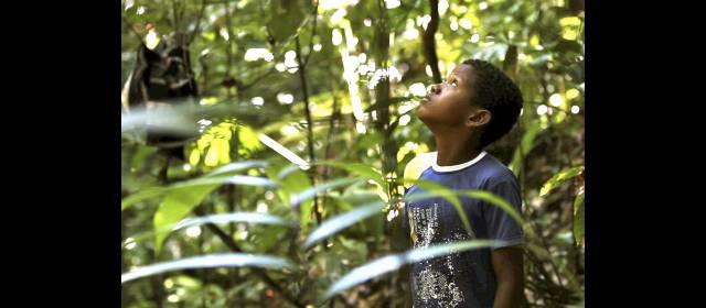 Comunidad salva sus bosques | Los habitantes de la región vigilan la selva que les pertenece para evitar daños. FOTO CORTESÍA NICOLÁS ARMS