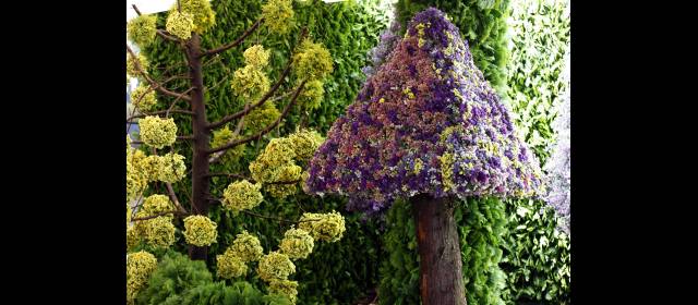 El paraíso terrenal está en el Jardín Botánico | Derroche de creatividad de Juan Eugenio Restrepo y Luis Fernando Velásquez plasmada en un bosque mágico. FOTO MANUEL SALDARRIAGA