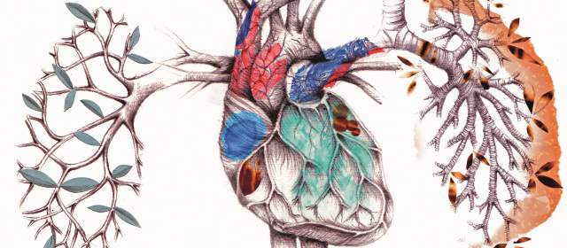 Hay hábitos que afectan la salud cardiovascular |