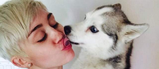 Miley Cyrus vive el segundo peor día de su vida por la muerte de su perro | FOTO TWITTER @MILEYCYRUS