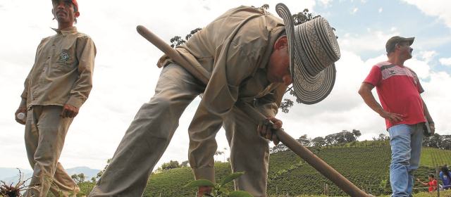 ‘Café de Antioquia’ para el mundo |