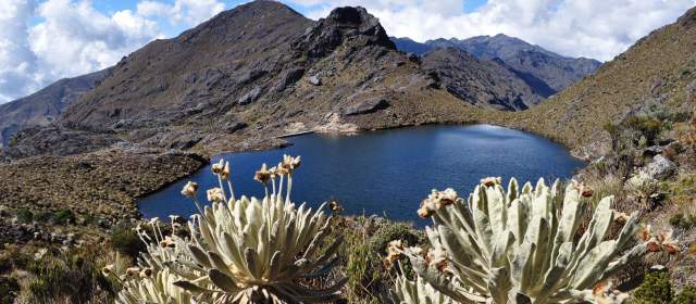 Coreanos descontaminarán las minas de Santurbán |