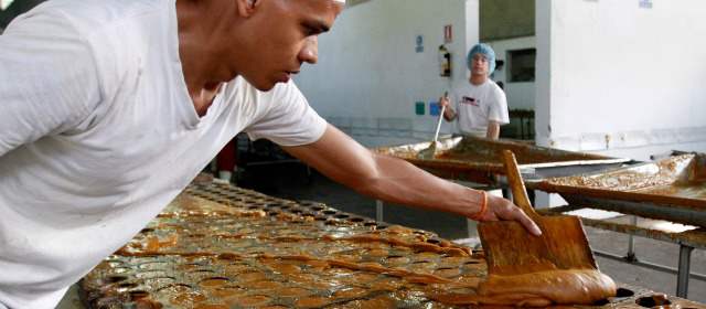 Panela del Nordeste gana clientes de bebidas instantáneas y energéticas | La Central de Mieles del Nordeste, en Cisneros, produce 20 toneladas de panela semanales. Aspiran a ampliar la planta. FOTO JAIME PÉREZ