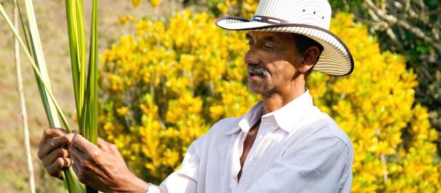 Edwin Ortega, campesino de Yolombó, es uno de los beneficiarios del programa Hogares Ecológicos. Por primera vez siente el apoyo del Estado para mejorar su calidad de vida. | FOTO CORTESÍA
