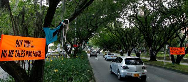 FOTO DONALDO ZULUAGA