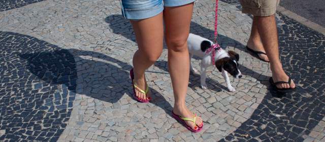A sus 50 años, las populares Havaianas son un ícono brasileño |