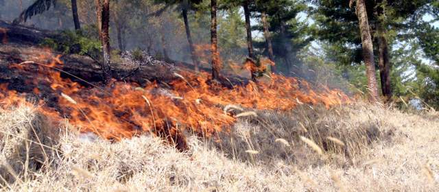 Temporada de incendios azota al país