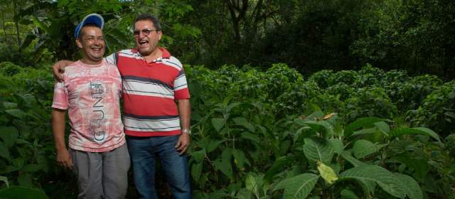 La víctima y el exguerrillero que son socios | César Augusto Montealegre (derecha), víctima de secuestro y Luis Moreno, exguerrillero, trabajan en la finca. FOTO CORTESÍA SEMANA