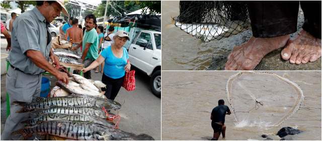 Acá venden y comemos peces en vía de extinción | Más de 12.000 toneladas de peces aporta el Magdalena. En puertos como Honda se sacan muchos bagres y bocachicos sin talla mínima. FOTOS JAIME PÉREZ