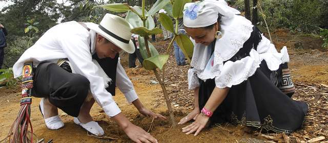 Cien árboles nuevos integran el bosque en Arví | Andrés Hincapié y María Emilse Ruiz son expertos sembradores. En sus casas cultivan jardines. Por eso ayer, en compañía de 60 personas, plantaron 100 árboles en dos horas. FOTO DONALDO ZULUAGA