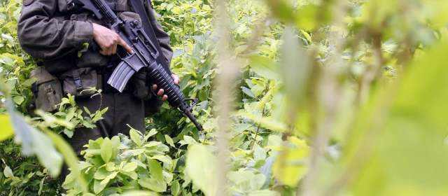 Se entregaron 17 miembros de “los Rastrojos” al CTI en el Valle |