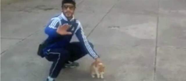 Un francés fue condenado a un año de cárcel por maltratar a un gato y colgar el video en internet