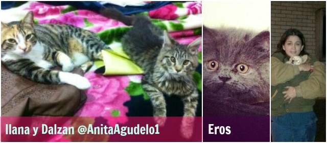 "Las mascotas merecen ser salvadas", dicen residentes evacuados de Space