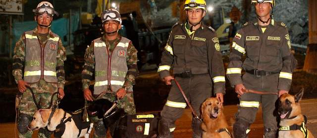 Los perros terminaron su labor de búsqueda en Space | En el rescate de las víctimas de Space, han participado 14 perros. Les presentamos a cuatro de ellos. FOTO JULIO CÉSAR HERRERA
