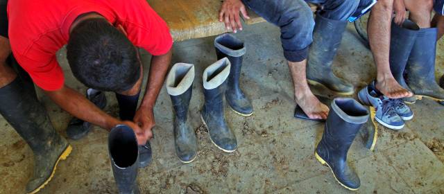 En Antioquia las Farc pasan de la coca al oro | La incursión de la guerrilla en la minería ilegal y el despojo de tierras, contrastan con las declaraciones dadas hace una semana por “Iván Márquez”. FOTO HENRY AGUDELO