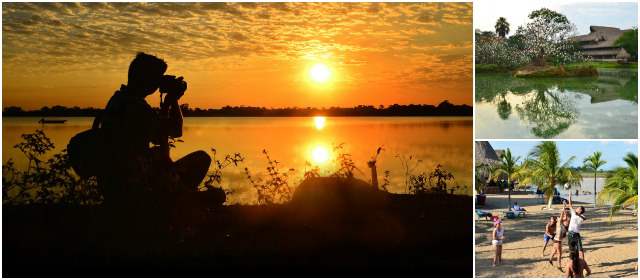 En Merecure despierta la selva