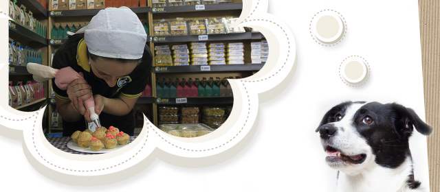 Los animales de compañía tienen amplias ofertas en la sociedad de consumo. FOTO Róbinson Sáenz