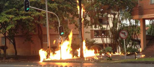 FOTO CORTESÍA CARLOS A. CORREDOR L.