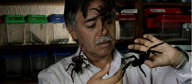CORTESÍA SISTOLE