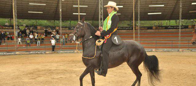 Jinetes y amazonas colombianas estarán en el Mundial de equitación en Miami | Juan Esteban Vélez Montoya, jinete colombiano de 16 años. FOTO CORTESÍA