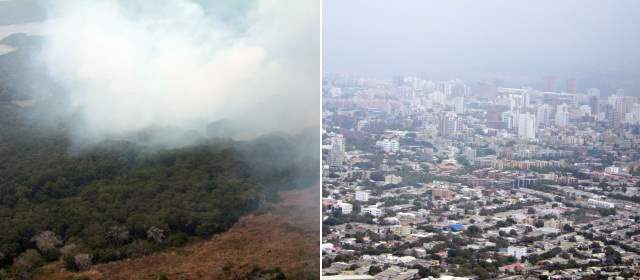Incendio en Parque Isla Salamanca consume más de 17 hectáreas | El humo llega hasta Barraquilla. Foto: Colprensa