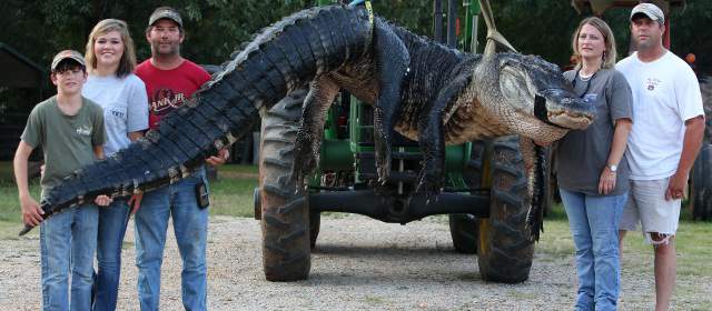 Cazan un cocodrilo de 450 kilos y 4,5 metros de largo |