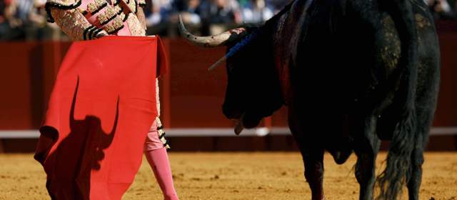 No hay norma que prohíba las corridas de toros dijo la Corte | FOTO ARCHIVO