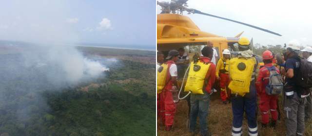 Incendio en Necoclí consume 1.200 hectáreas de la ciénaga La Marimonda |