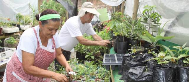 El Campo Se Acerca A Medell n Con Ecohuertas