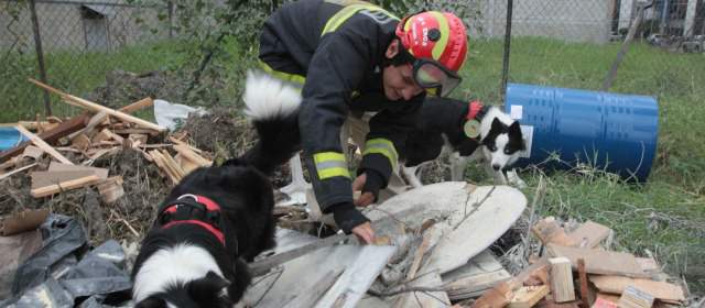 Perros que salvan vidas y encuentran direcciones | A veces resulta difícil hallar sitios para entrenar perros. FOTO HERNÁN VANEGAS