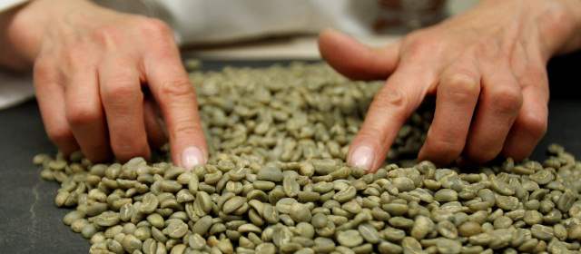 Producción de café en Colombia creció 40 por ciento en enero |