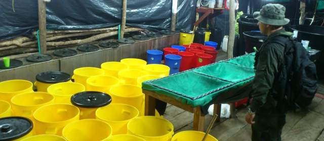 Desmantelan laboratorio de cocaína líquida de "los Urabeños" en Sopetrán |