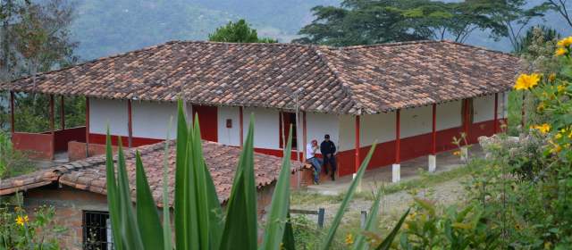 Complejo impulsará el campo en Palmitas | El proyecto apunta a beneficiar la caña y el café, productos que son la base de la economía en San Sebastián de Palmitas FOTO CORTESÍA.