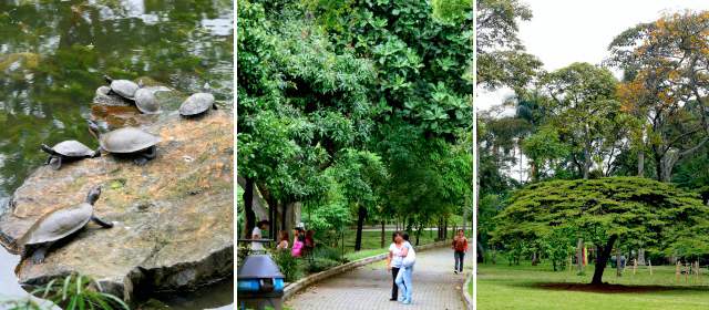 El Jardín Botánico cumple 40 | Hoy serán los actos conmemorativos de los 40 años del Jardín Botánico, pero la programación especial continuará en los próximos días. FOTOS JUAN ANTONIO SÁNCHEZ