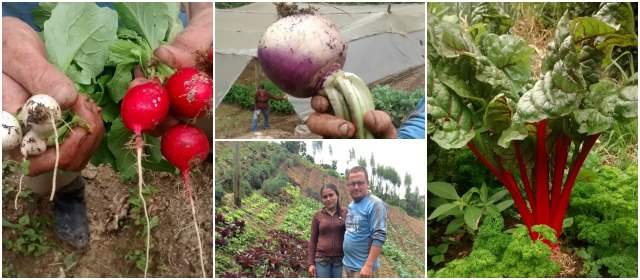 Cultivan con el corazón |