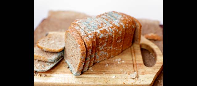 Su nevera puede estar intoxicada | El mal almacenamiento de los alimentos puede ocasionar enfermedades tan graves como al Salmonella. FOTO SHUTTERSTOCK